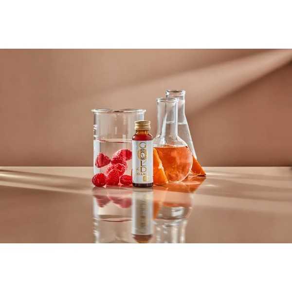 Colágeno hidrolizado Gold Collagen RX 10 días (10x50ml) - amarama