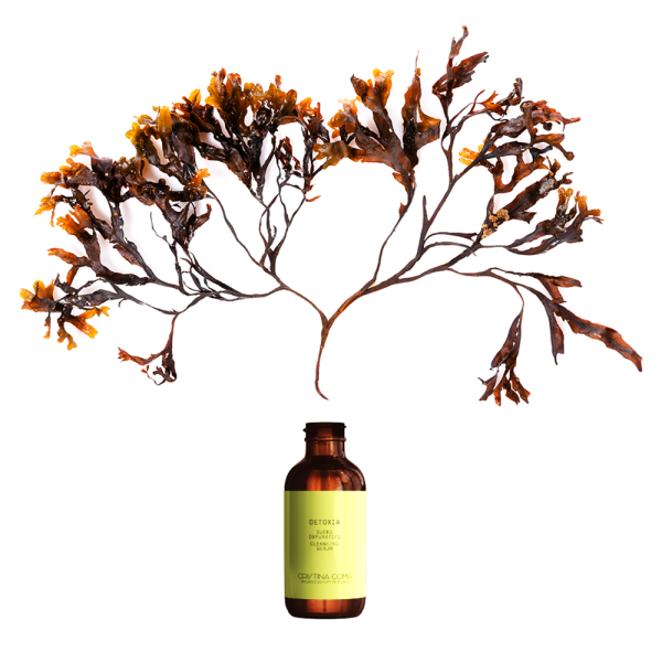 Detoxia 30ml Cristina Coma