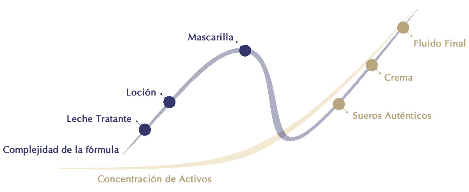 1. fase de diagn&oacute;stico
